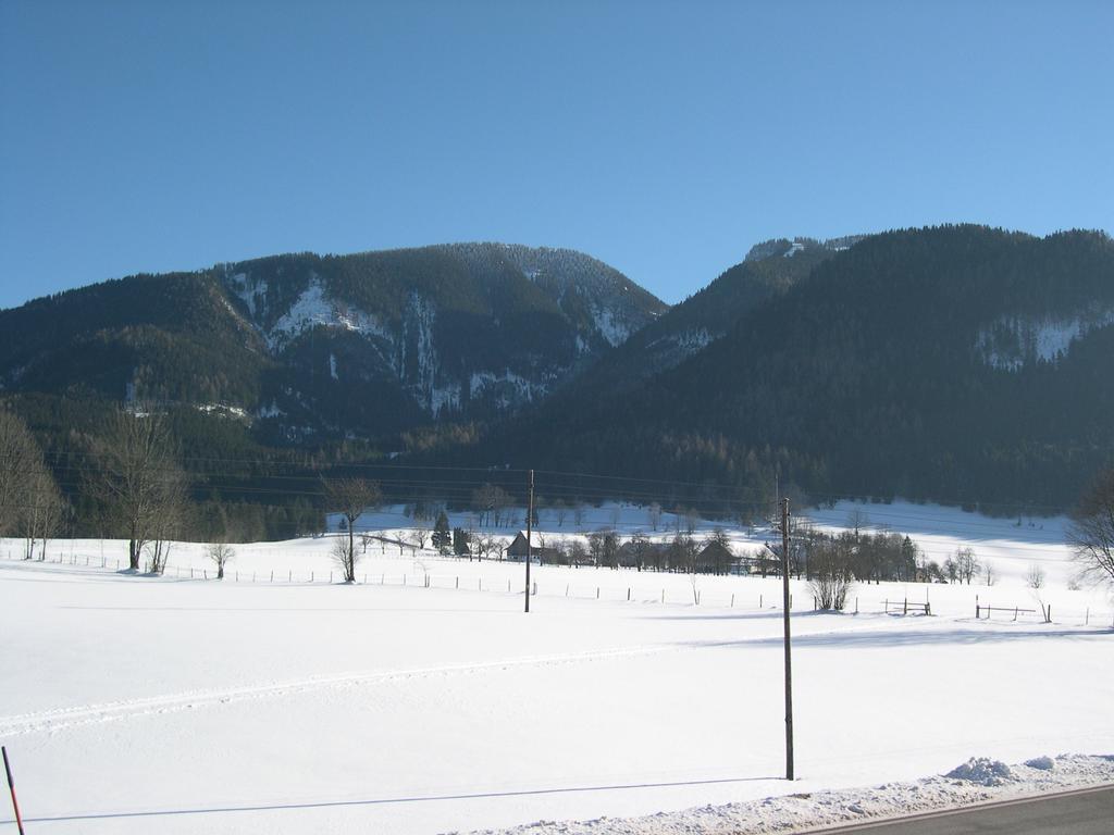 Bauernhof Plachl Lassing  Buitenkant foto